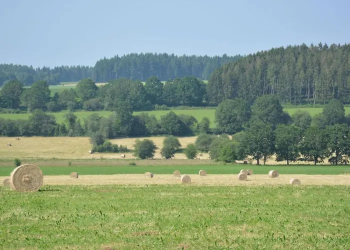 Spacious Retreat, * Daverdisse